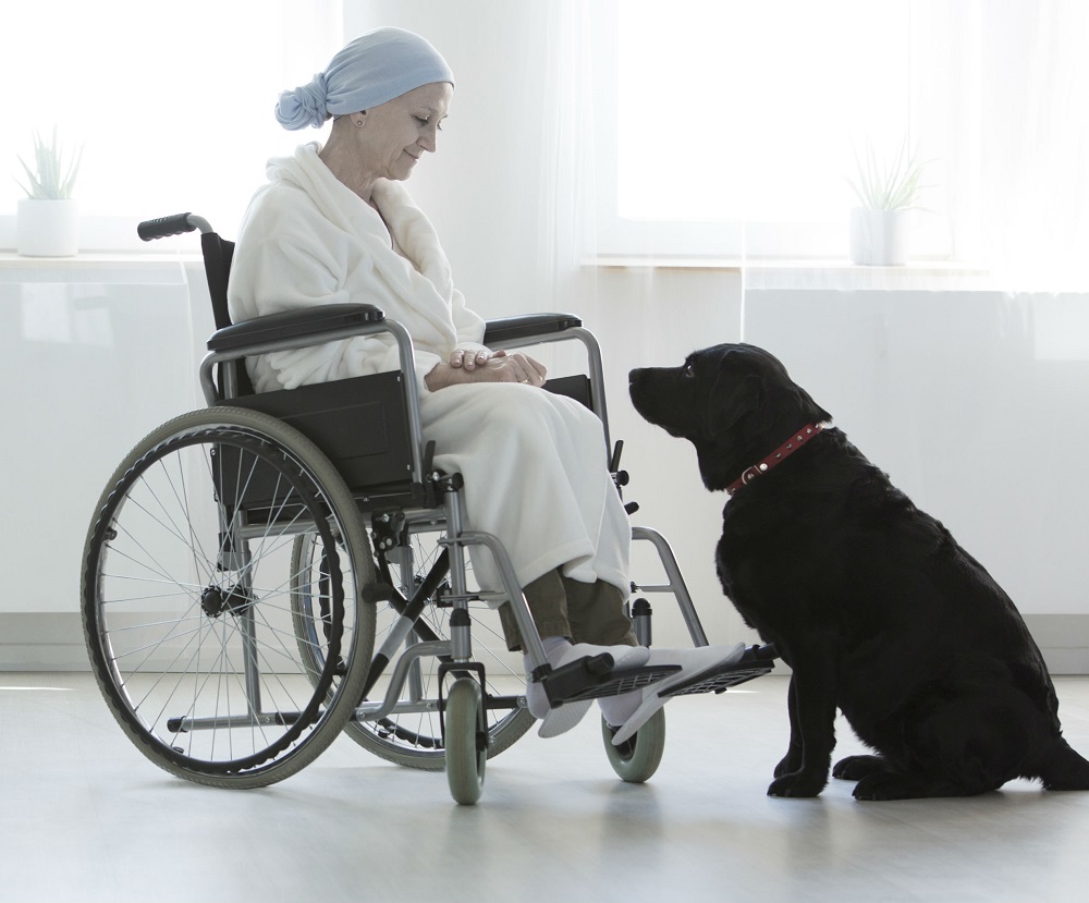 Patient and dog