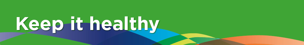 Keep it healthy text