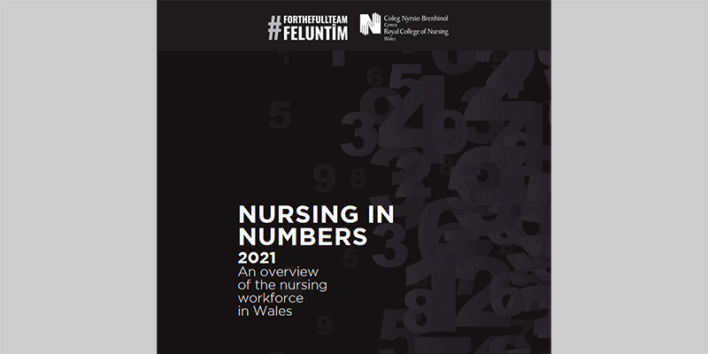 Nursing in Numbers 2021
