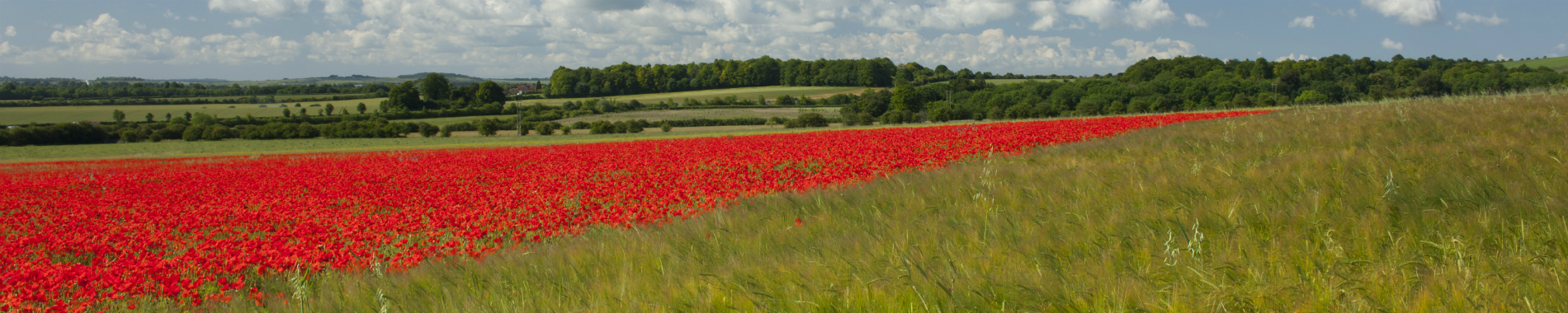 Hampshire