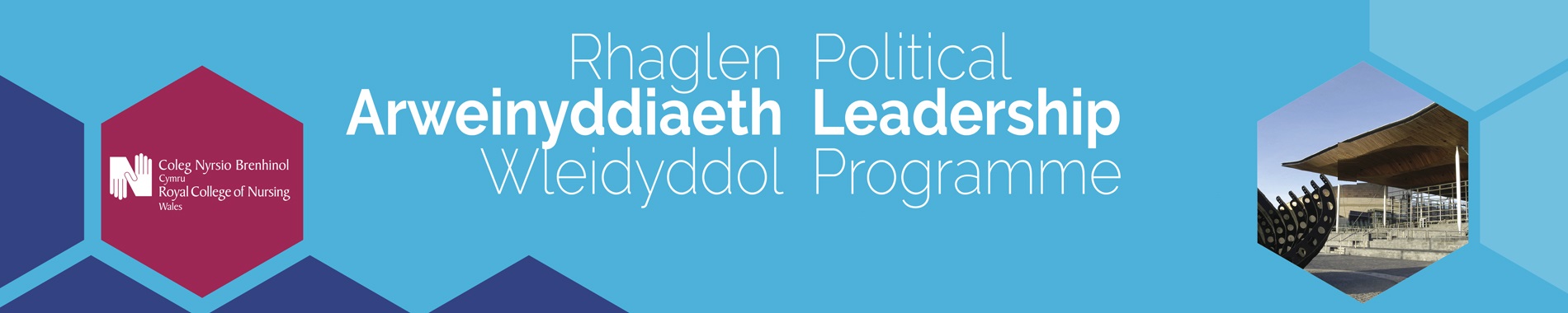 RCN Wales Political Leadership Programme banner