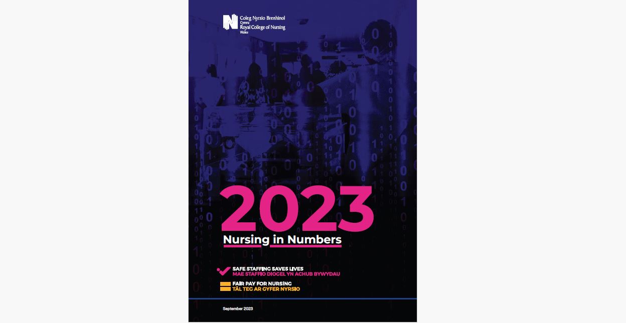 Nursing in numbers report 23
