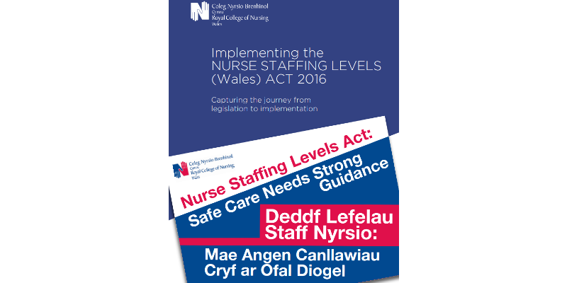 Cover image of "Implementing the Nurse Staffing Levels (Wales) Act 2016"