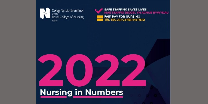 Nursing in numbers 2022